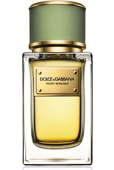 dolce gabbana velvet black|Dolce & Gabbana velvet bergamot.